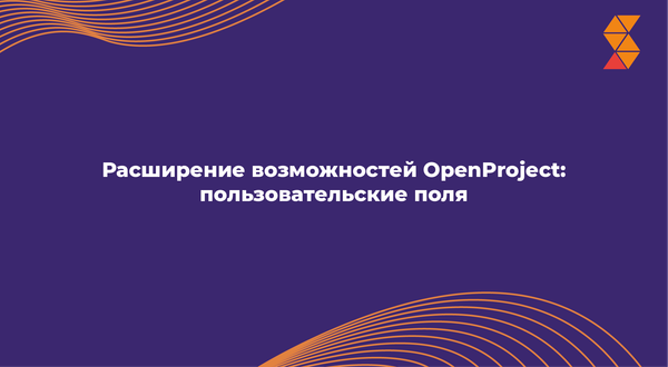 Расширение возможностей OpenProject: пользовательские поля.